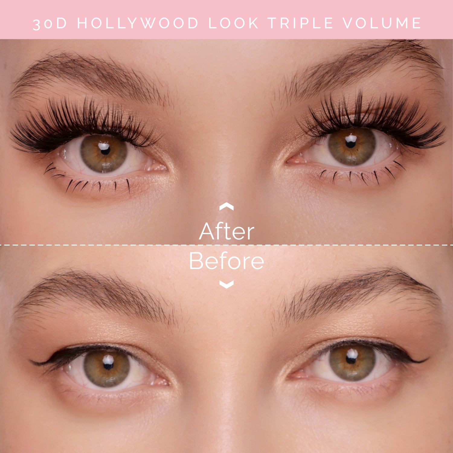 Hollywood lashes shop