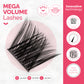 Mega Volume Lashes